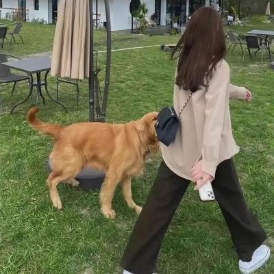 幽灵人种